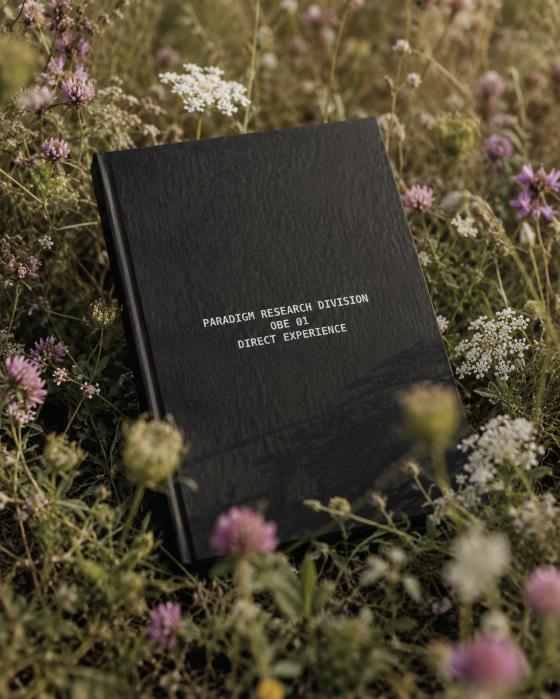 Paradigm Research Division Dream Journal