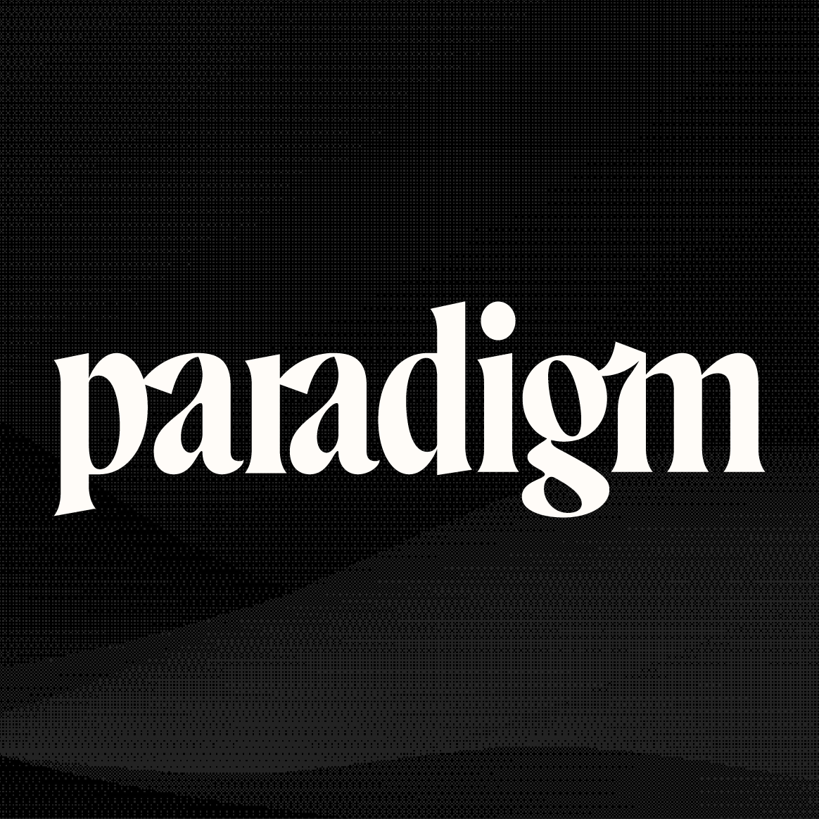 The Paradigm Experience